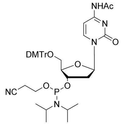 dC (Ac) CE-Phosphoramidite, 10 g, ABI (100 mL / 20 mm Septum)